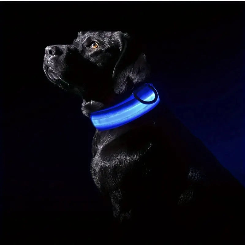 LED Light-Up Pet Collar