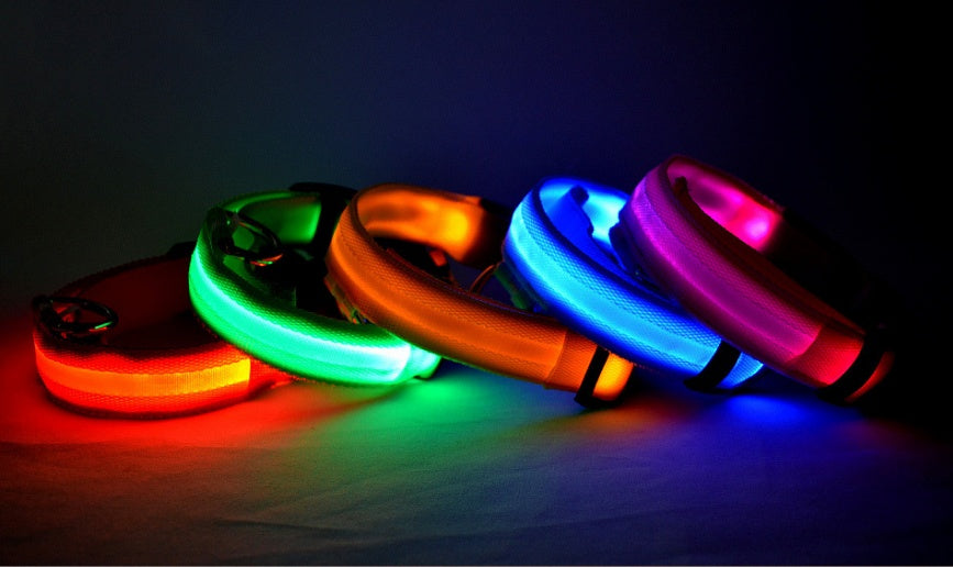 LED Light-Up Pet Collar