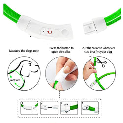 LED Light-Up Pet Collar