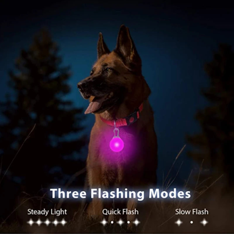 LED Light-Up Pet Collar