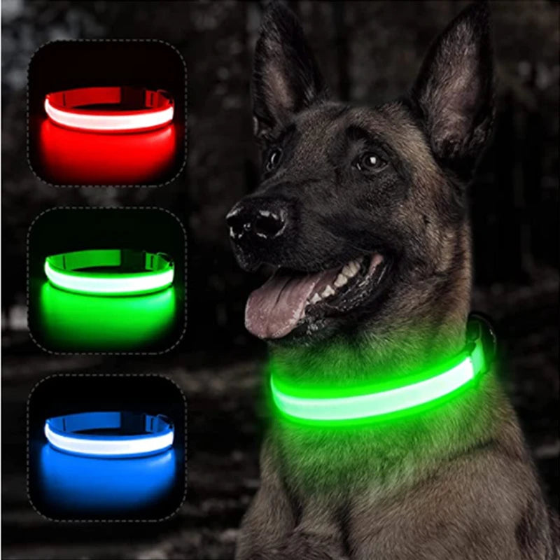 LED Light-Up Pet Collar