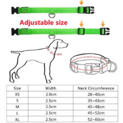 LED Light-Up Pet Collar