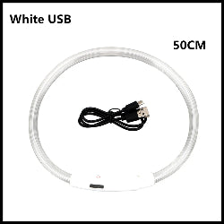 LED Light-Up Pet Collar