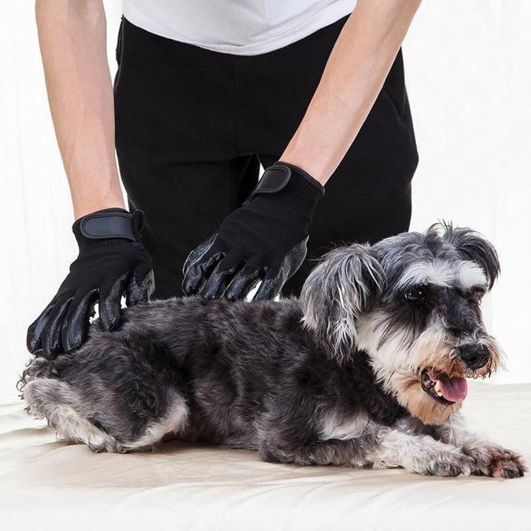 Pet Hair Cleaning And Collection Gloves Pet Double-sided Multi-functional Beauty Glove Tool Reduce The Pressure Of Pet Ownership